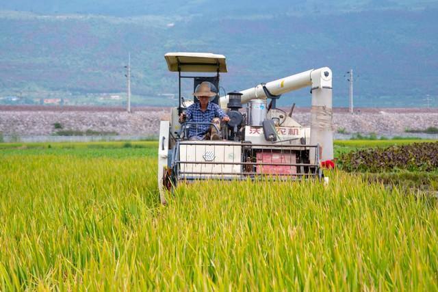 日本农业农村商务考察